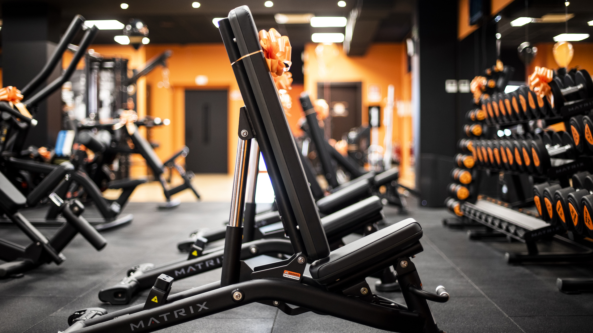 FitActive Pavia