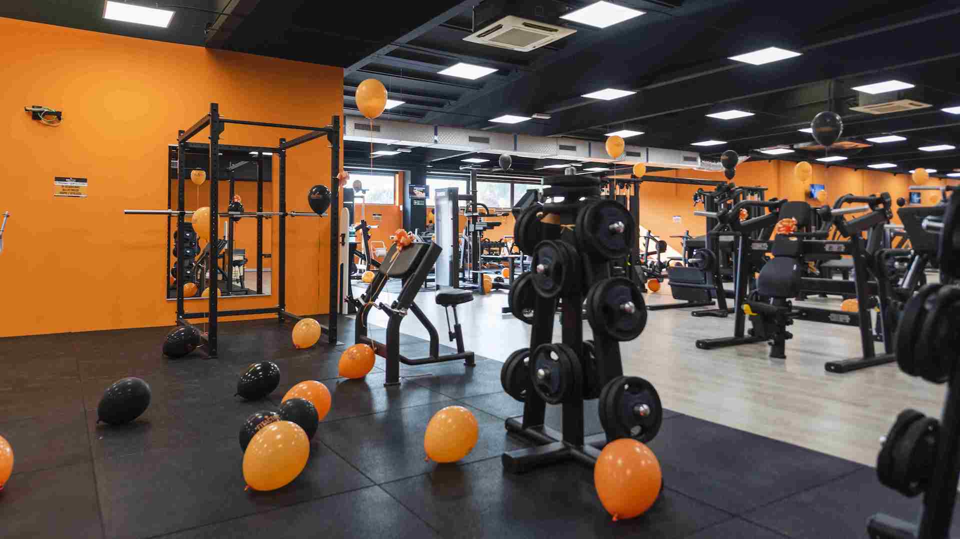 FitActive Vercelli